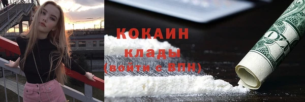 дмт Вяземский