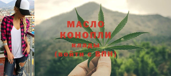 дмт Вяземский