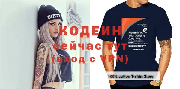 дмт Вяземский