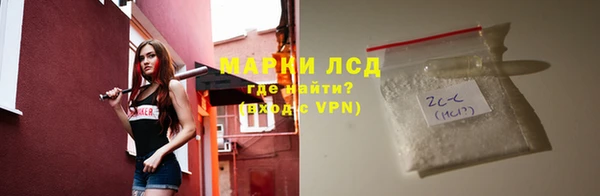 дмт Вяземский