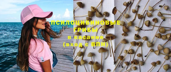 прущая мука Вязьма