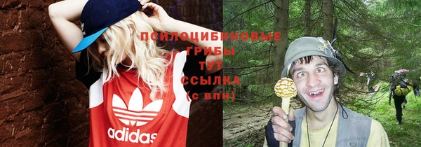 дмт Вяземский