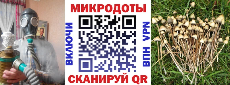 Псилоцибиновые грибы Psilocybe  Купить  Новая Усмань 